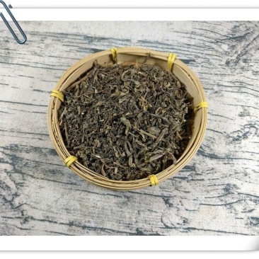 山间谷草马齿苋野生马齿笕茶马齿苋马齿苋