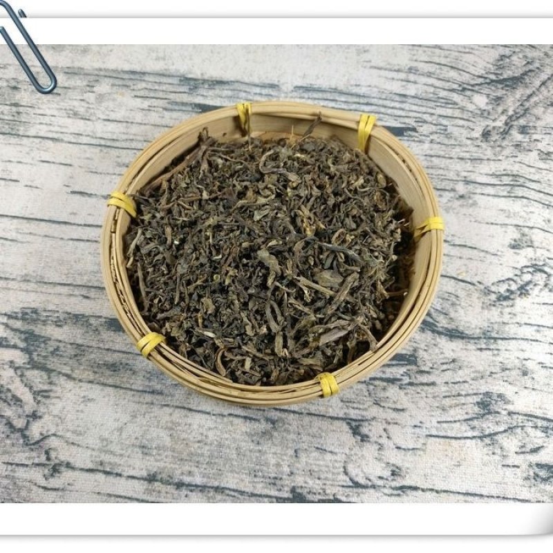 山间谷草马齿苋野生马齿笕茶马齿苋马齿苋