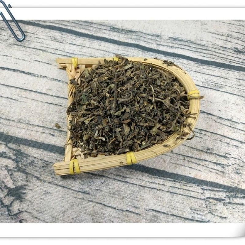 山间谷草马齿苋野生马齿笕茶马齿苋马齿苋