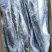 单冻鲅鱼，6/88/1有货，封海期间走量产品，价格美丽