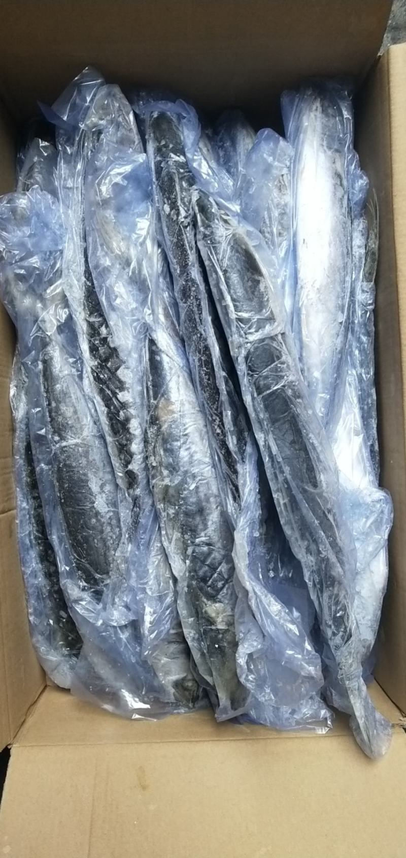 单冻鲅鱼，6/88/1有货，封海期间走量产品，价格美丽