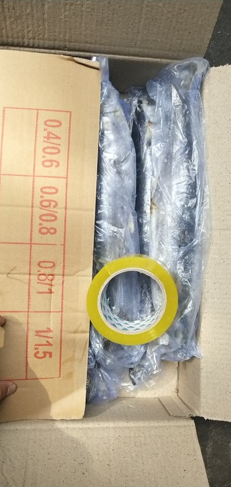 单冻鲅鱼，6/88/1有货，封海期间走量产品，价格美丽