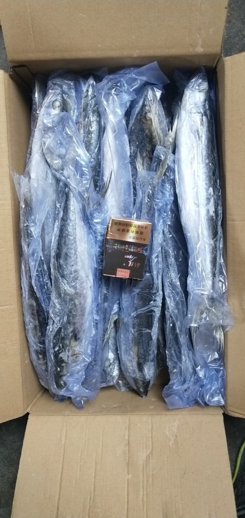 单冻鲅鱼，6/88/1有货，封海期间走量产品，价格美丽
