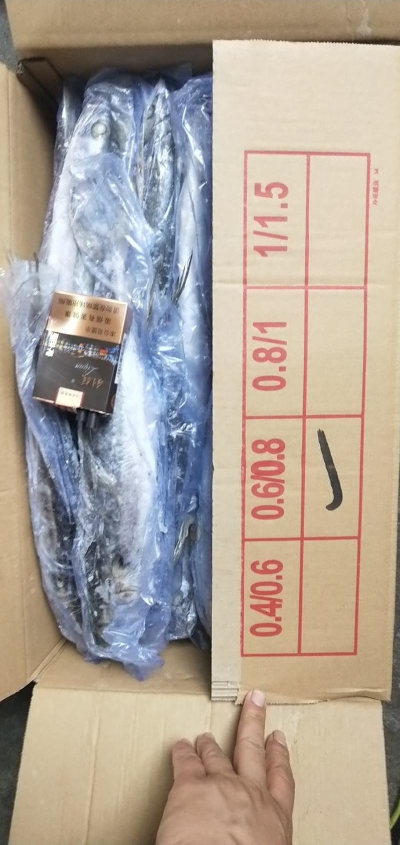 单冻鲅鱼，6/88/1有货，封海期间走量产品，价格美丽