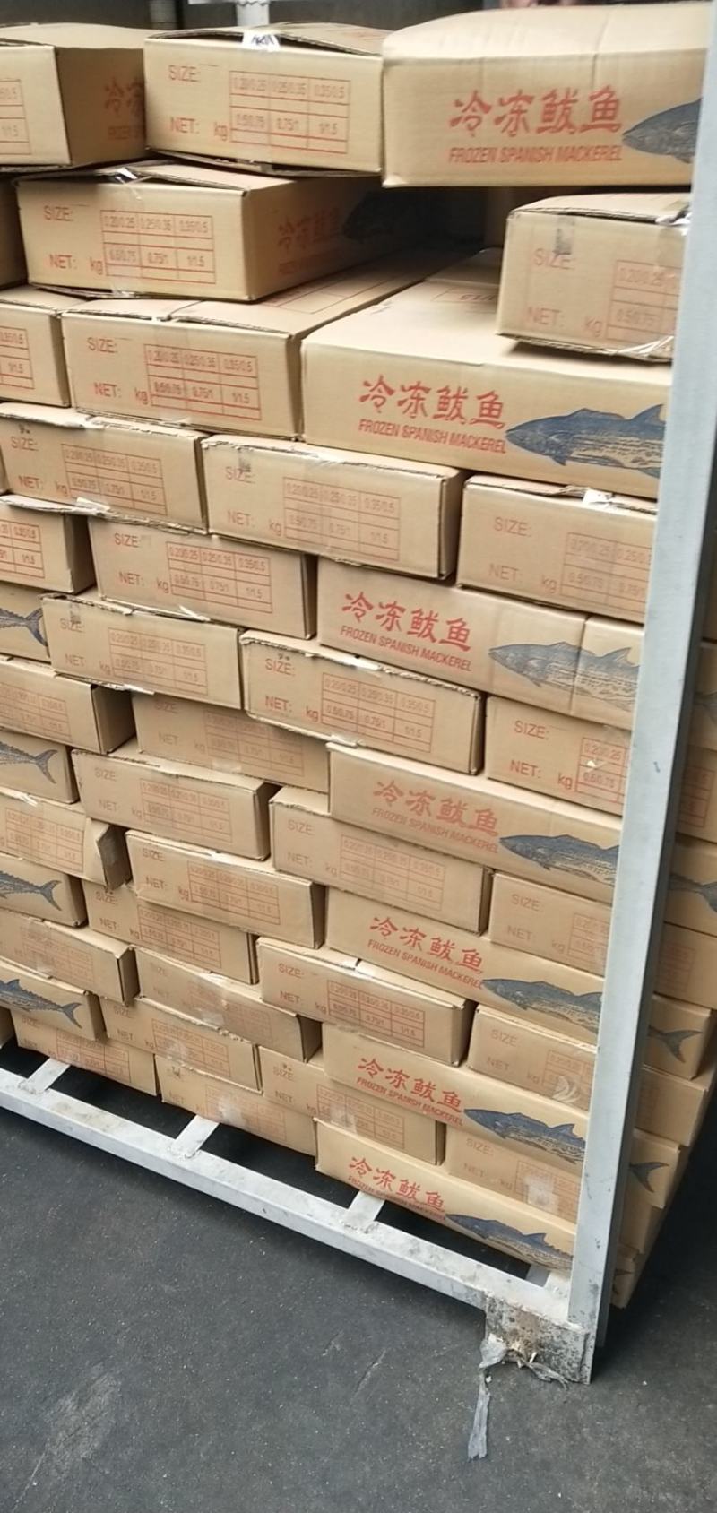单冻鲅鱼，6/88/1有货，封海期间走量产品，价格美丽