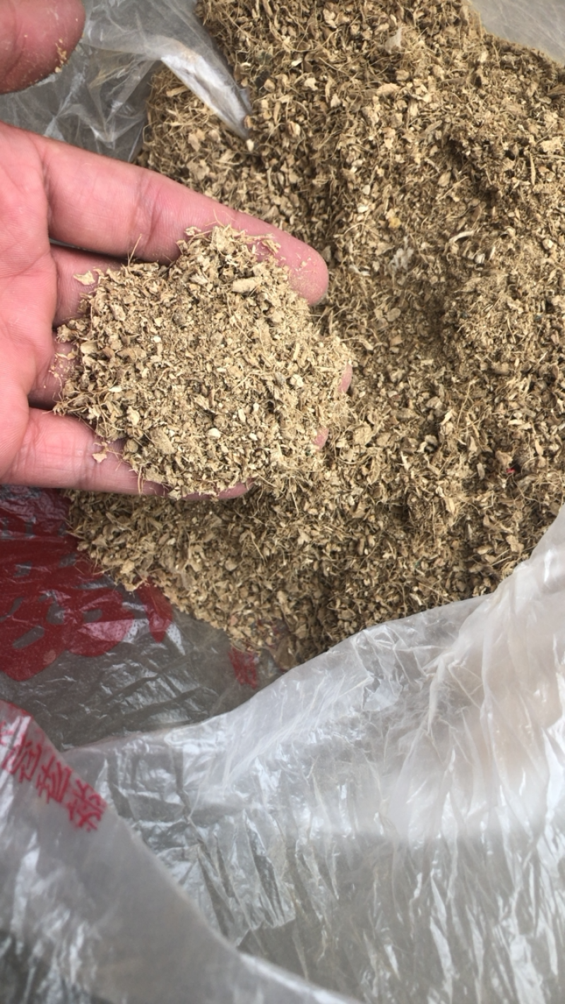 干姜沫，山东干姜沫。干净无杂质，货源充足，全国发货
