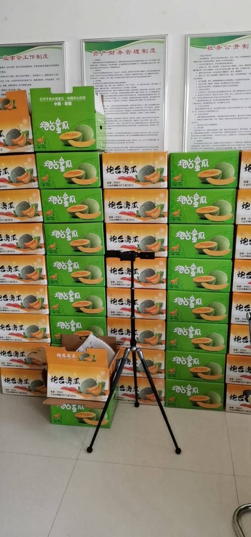 新疆沙漠西周蜜，沙漠哈密瓜，新疆沙漠甜瓜。