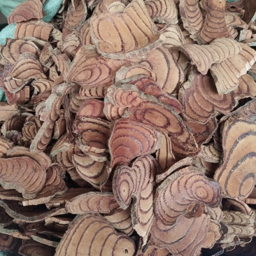 野生鸡血藤鸡血藤,批发零售,量大优惠