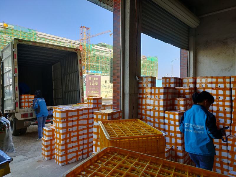 【一件代发】2022广西台农一号百香果3斤5斤10斤包邮
