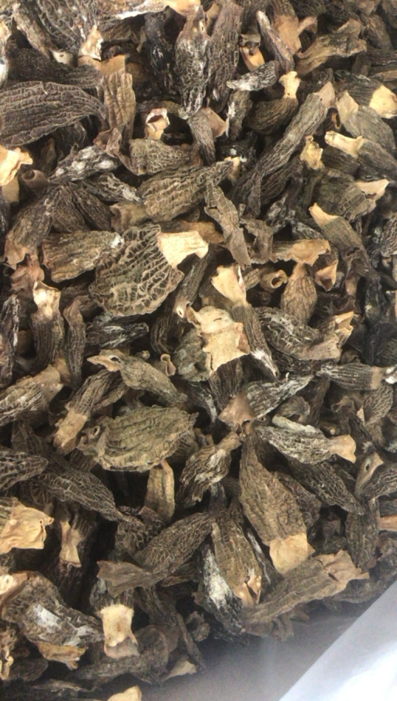 特价羊肚菌，大个非常香买到就是赚到