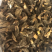 特价羊肚菌，大个非常香买到就是赚到
