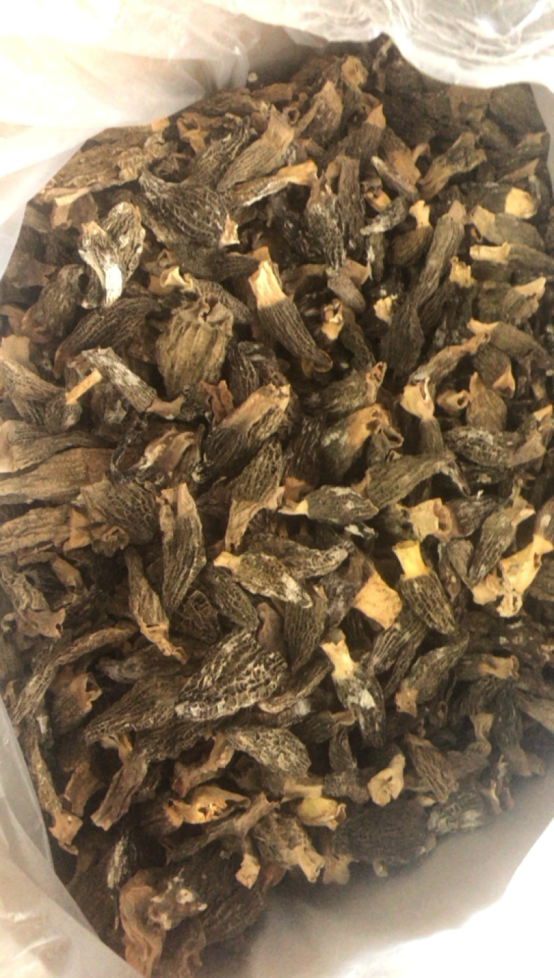 特价羊肚菌，大个非常香买到就是赚到