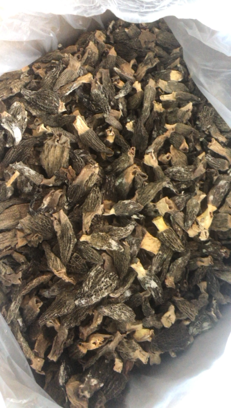 特价羊肚菌，大个非常香买到就是赚到