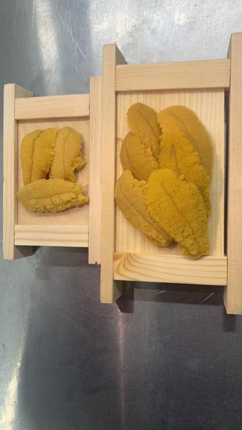 冰鲜，紫胆，马胆，新鲜加工，产地直供一手货源