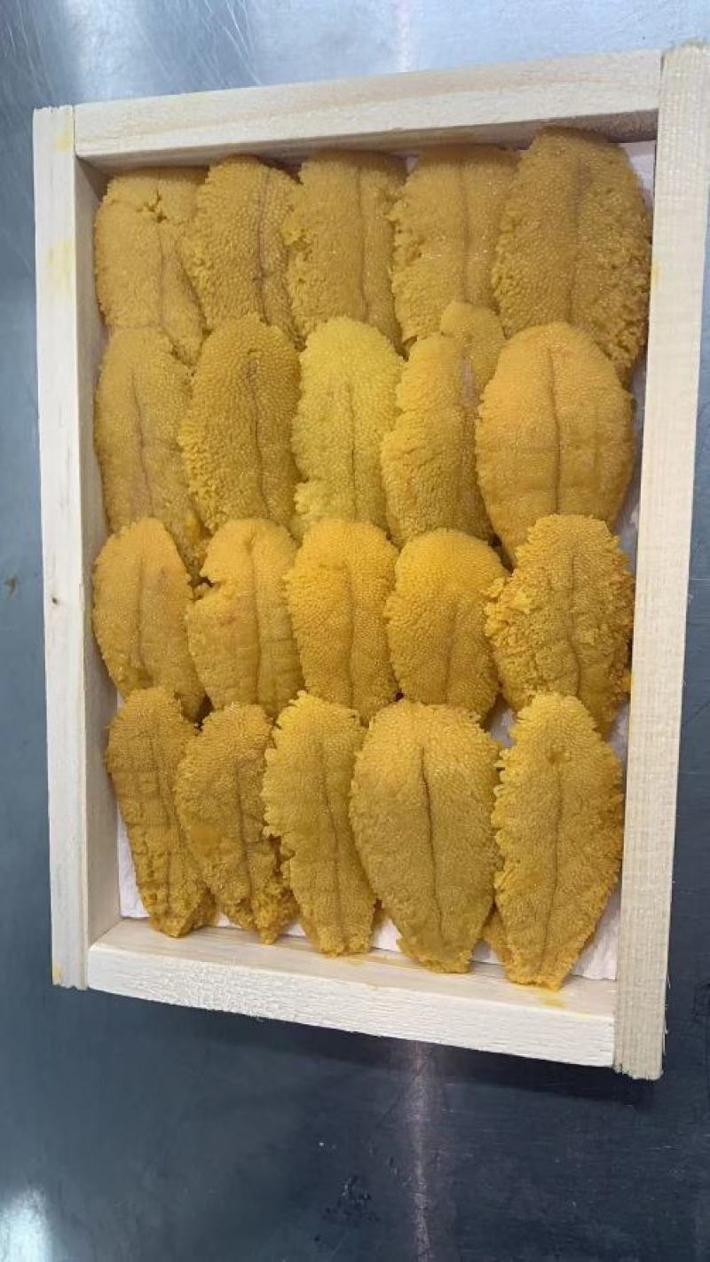 冰鲜，紫胆，马胆，新鲜加工，产地直供一手货源