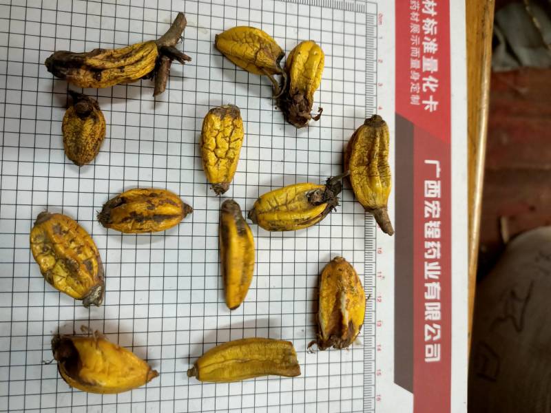 石仙桃
