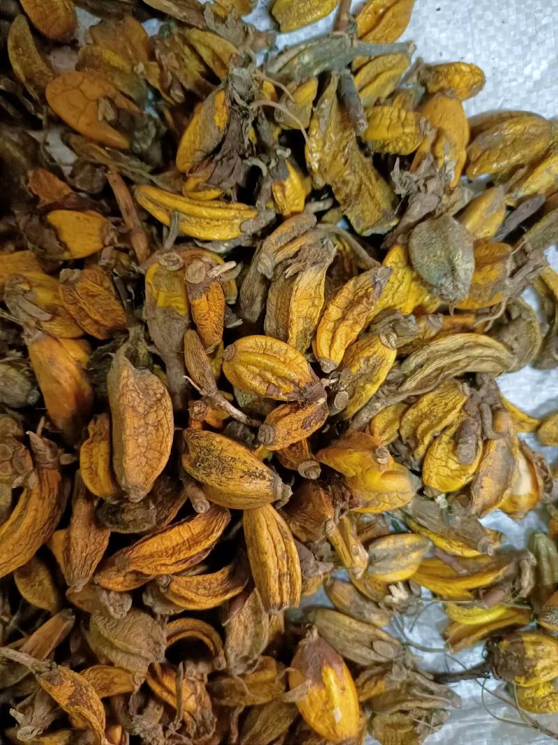 石仙桃