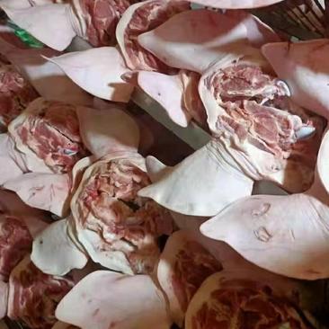 猪头肉国产进口猪头肉带耳带口条批半整个猪头猪产品