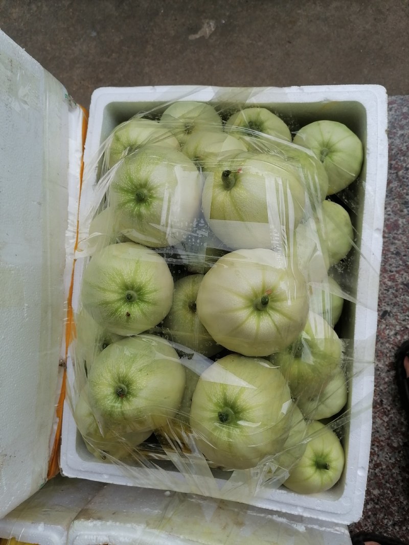 广西宾阳甜瓜，脆甜好吃！价格美丽！