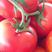 大红石头番茄，大量上市物美价廉，欢迎商超订购，可实地看货