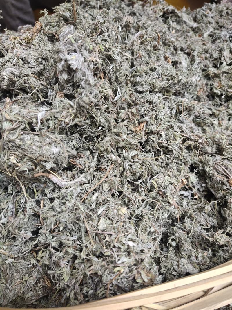 云南野生中药材茵陈三月茵陈锦茵陈茵陈茶白蒿500g