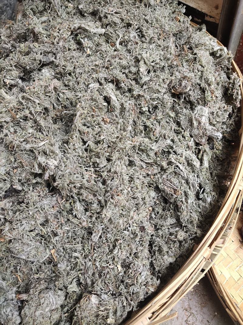 云南野生中药材茵陈三月茵陈锦茵陈茵陈茶白蒿500g