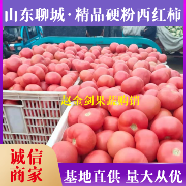 精品硬粉西红柿弧三以上产地批发代发全国价格合理
