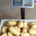 山东潍坊安丘荷兰十五土豆直销