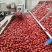 新疆若羌红枣，灰枣甜度高价格便宜规格全