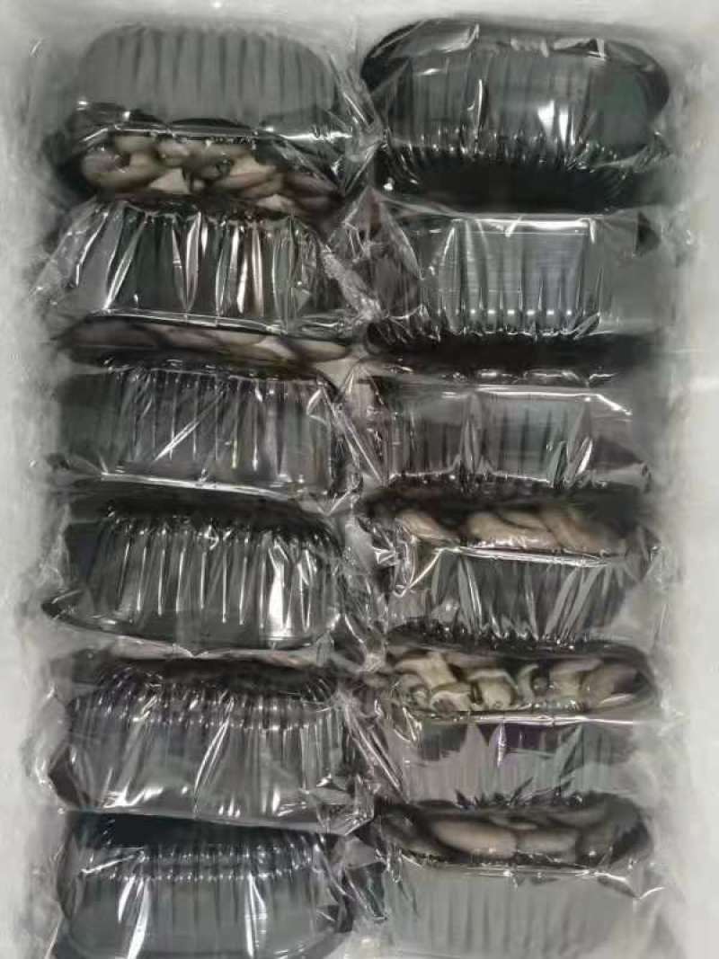 现场图平菇