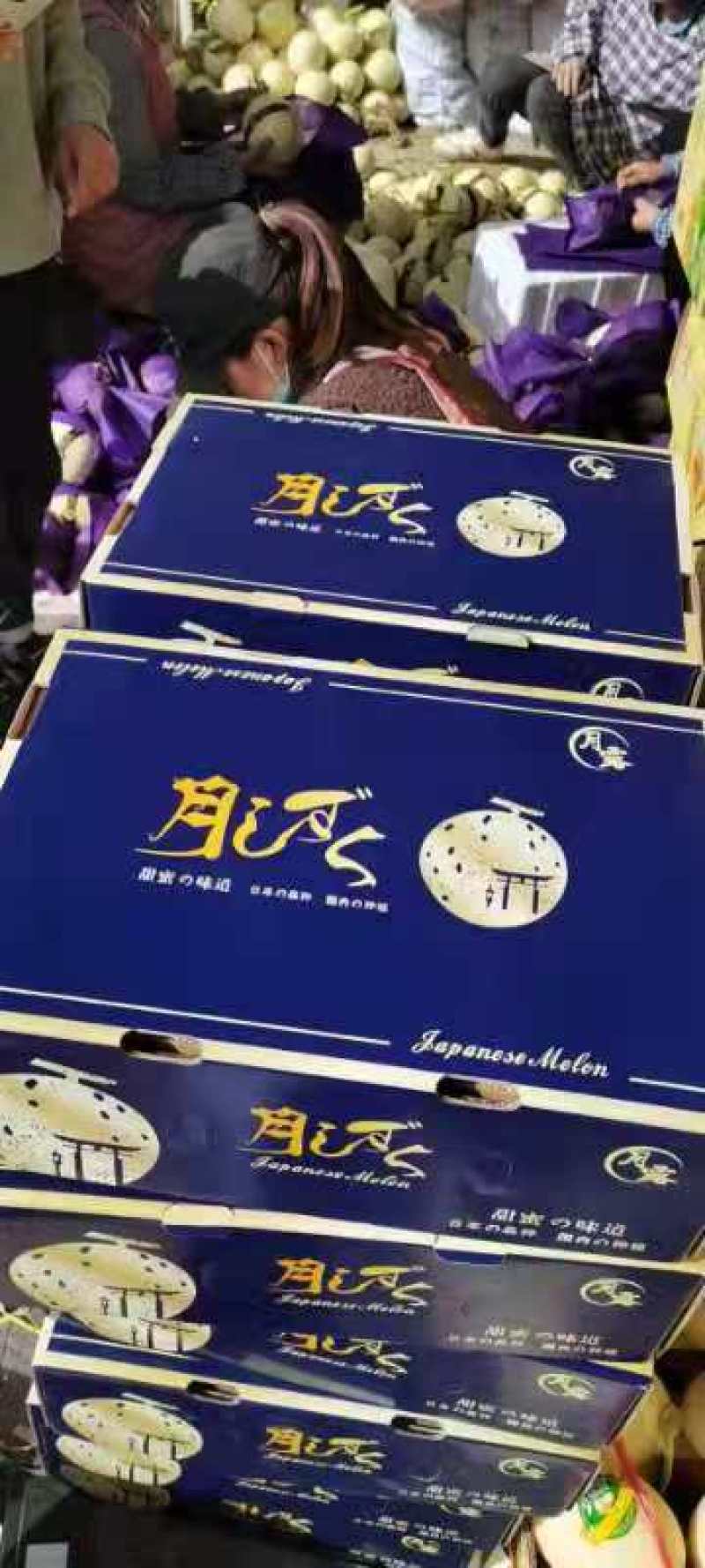 蜜露，甜瓜蜜露，网红瓜，口感糯甜，糖度高