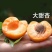 澄城凯特金寿杏热销诚招客商电商社区团购商超平台供应链