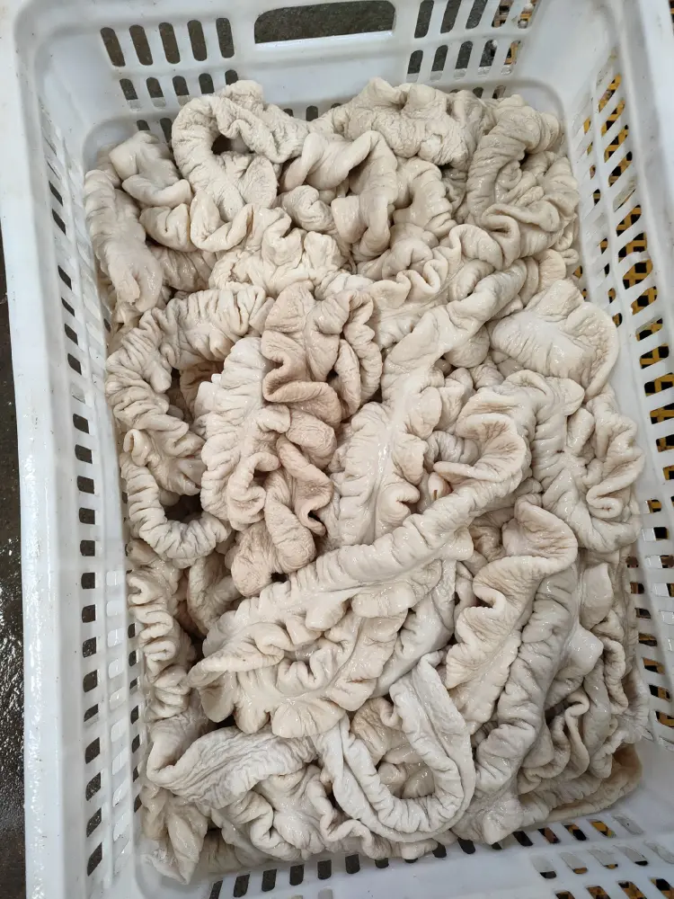 猪大肠批发]母猪大肠，解冻19斤以上。无油无水！上层货价格28000.00元