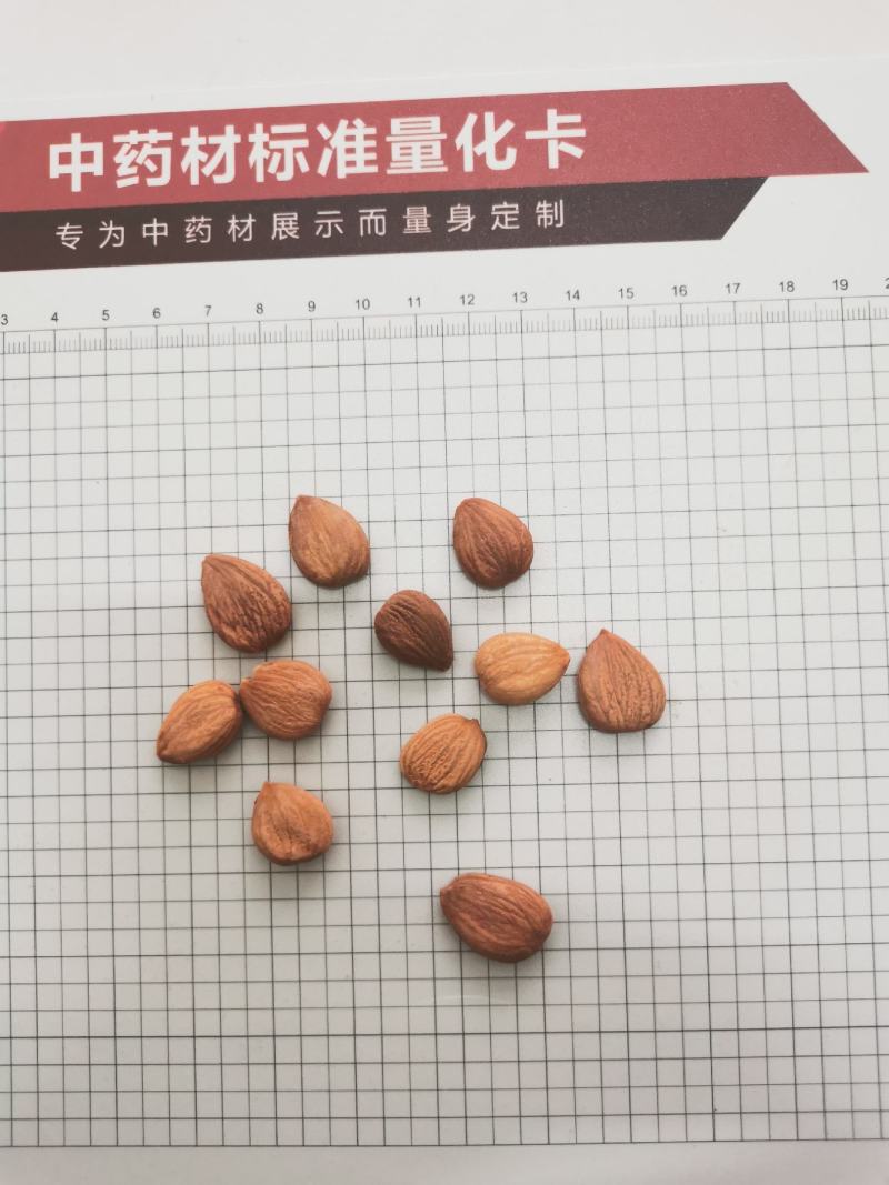 甜杏仁，苦杏仁，去皮苦杏仁，炒杏仁，脱苦杏仁，南北杏