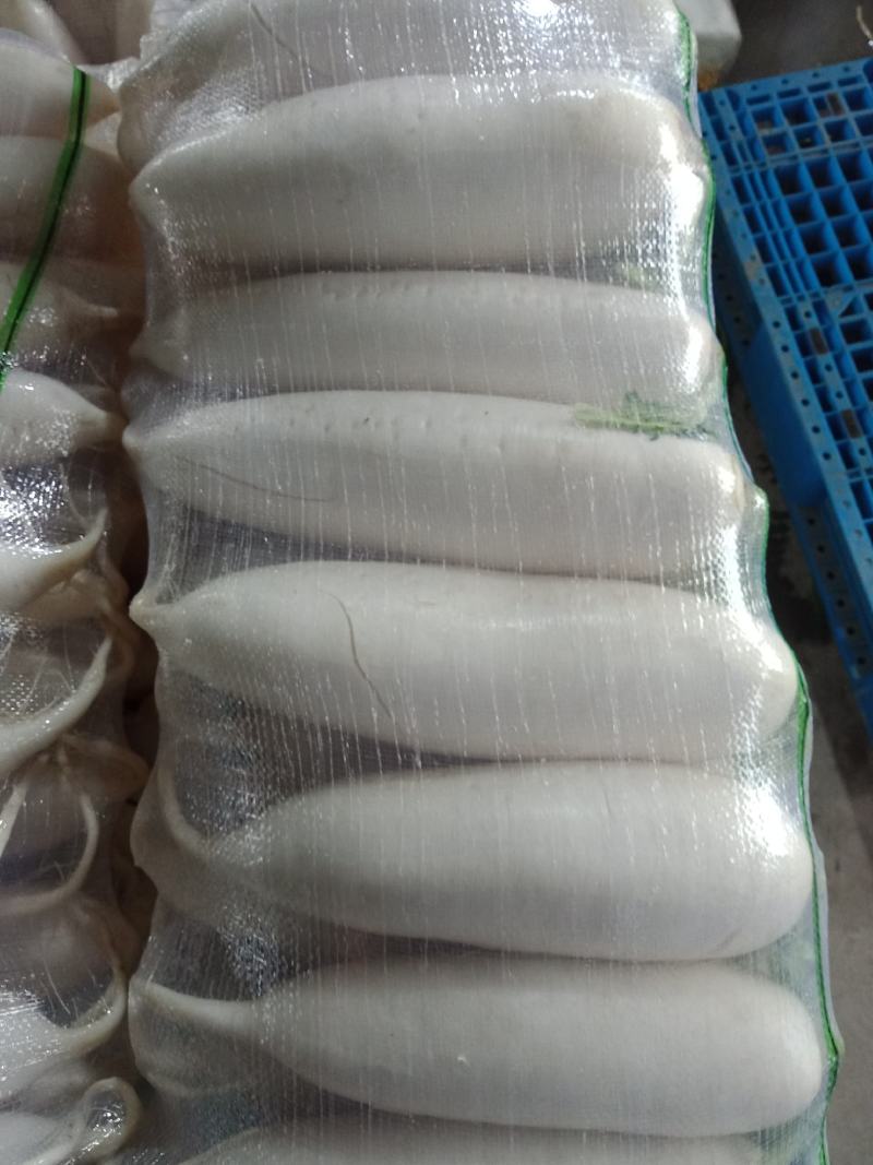 精品白萝卜！