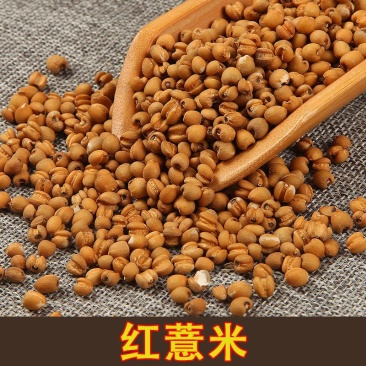薏仁米农家薏仁米熬粥薏仁五谷杂粮意仁包邮