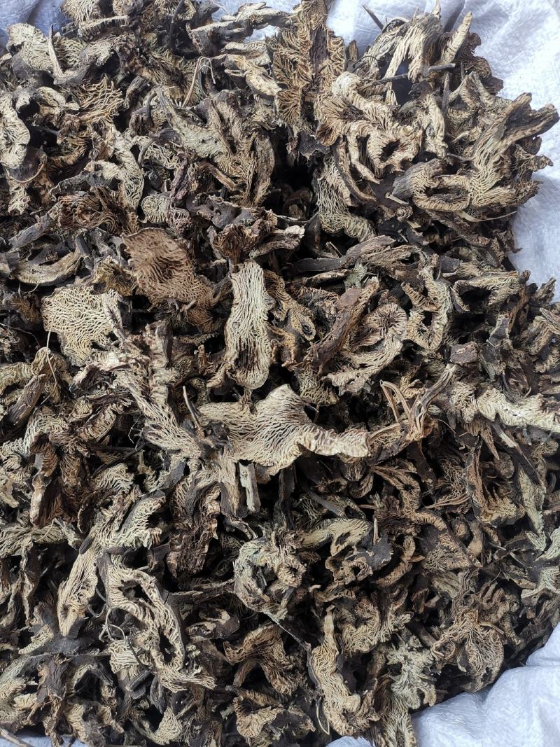 升麻东北升麻全干无硫货规格齐全可供批发零售