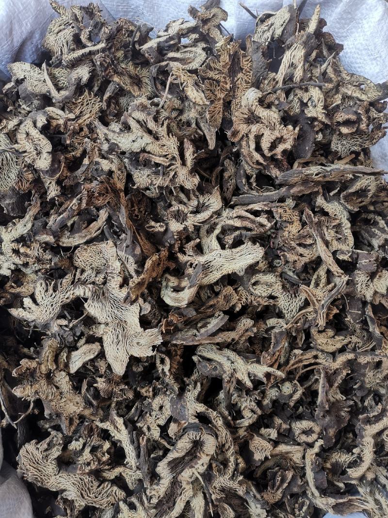 升麻东北升麻全干无硫货规格齐全可供批发零售