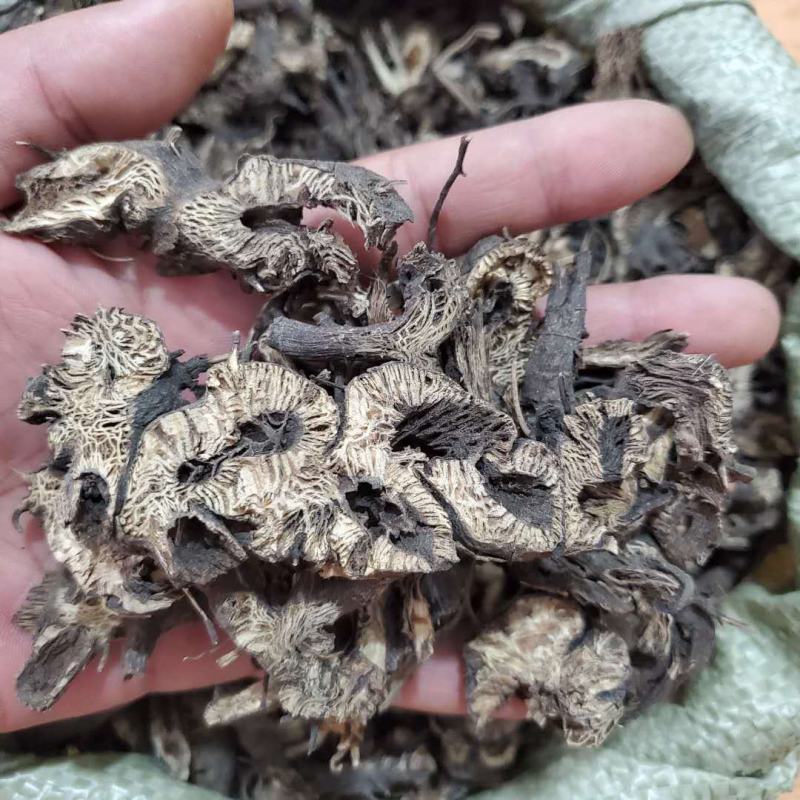升麻东北升麻全干无硫货规格齐全可供批发零售