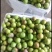 屏山茵红李品味高端品质水果，畅享美味健康生活，