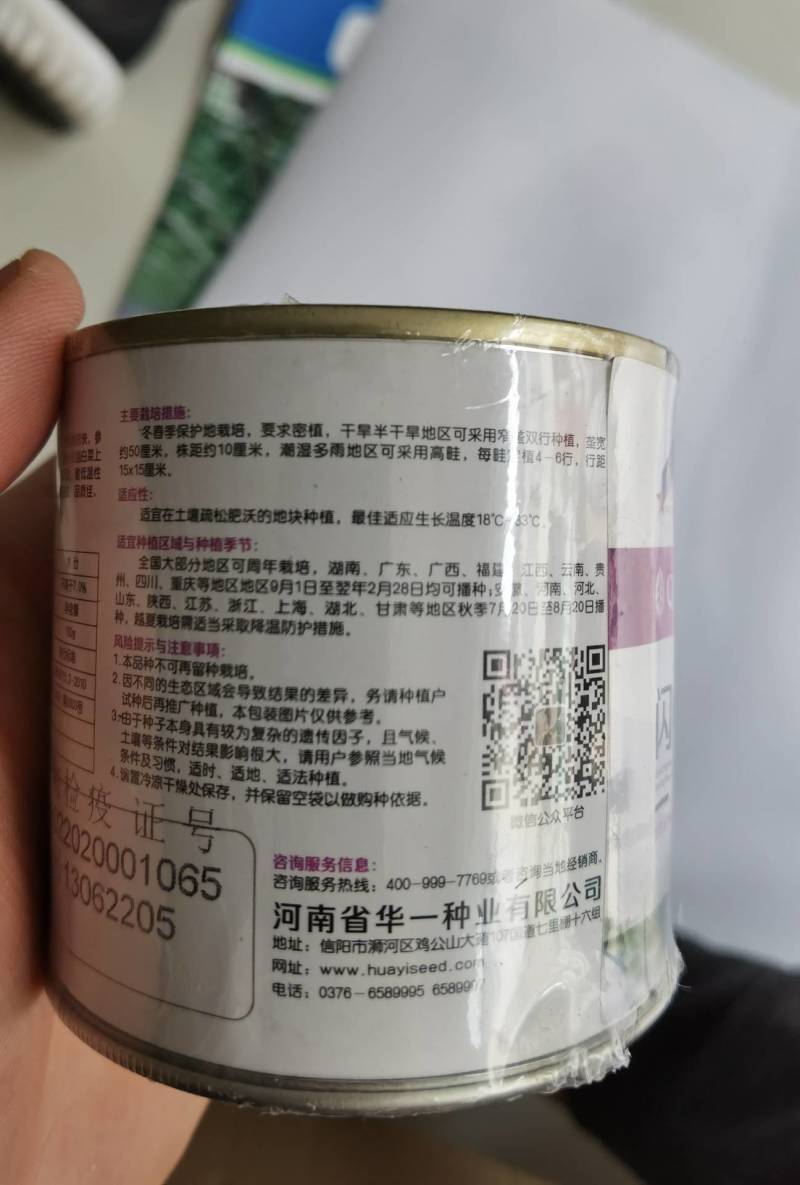 快菜种子闪电8号速生小白菜种子无毛耐湿热抗病四季播种