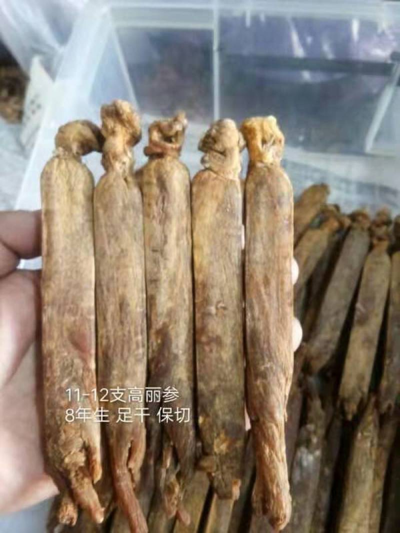 高丽参规格齐全六年纯干无糖长白山产地直发