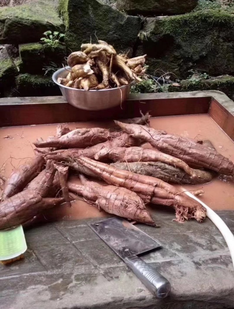广东河源野生葛根粉，大量批发零售，大量优惠