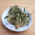 野生新货紫花地丁干品苦铧头光瓣堇菜犁头草散装10