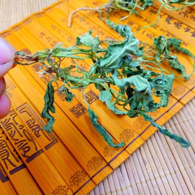 野生新货紫花地丁干品苦铧头光瓣堇菜犁头草散装10