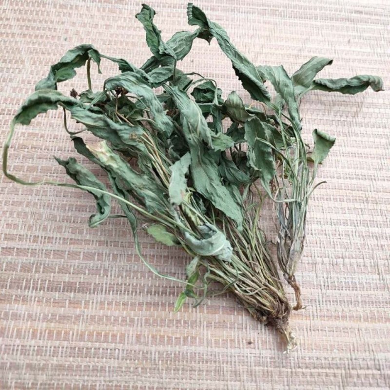 野生新货紫花地丁干品苦铧头光瓣堇菜犁头草散装10