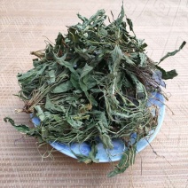 野生新货紫花地丁干品苦铧头光瓣堇菜犁头草散装10