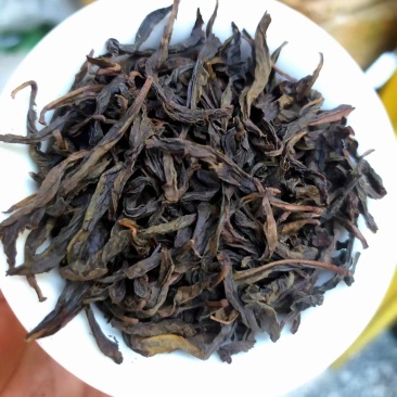 炭焙高香奇兰土山茶诏安富硒八仙茶潮汕惠来土山茶高香奇兰茶