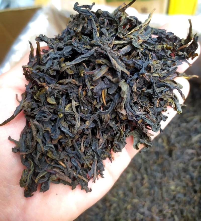 炭焙高香奇兰土山茶诏安富硒八仙茶潮汕惠来土山茶高香奇兰茶