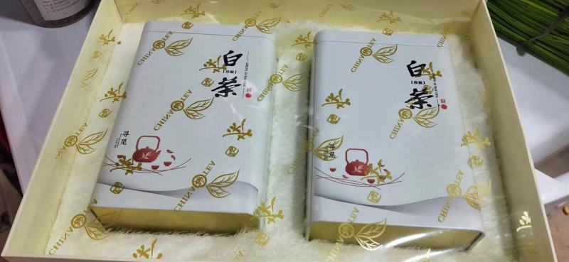 昭君白茶